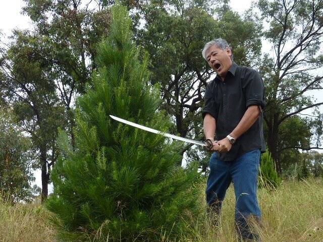 With a nod to his heritage, Keng Tan ''prunes'' his Christmas trees. Photo: Tim the Yowie Man