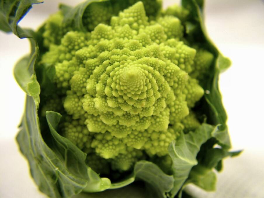 Broccoli romanesco. Photo: iStock
