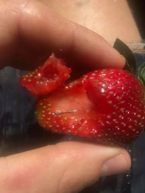 A Queensland man posted this photo of a strawberry with a needle in it after reporting his friend swallowed one.  Photo: Joshua Gane