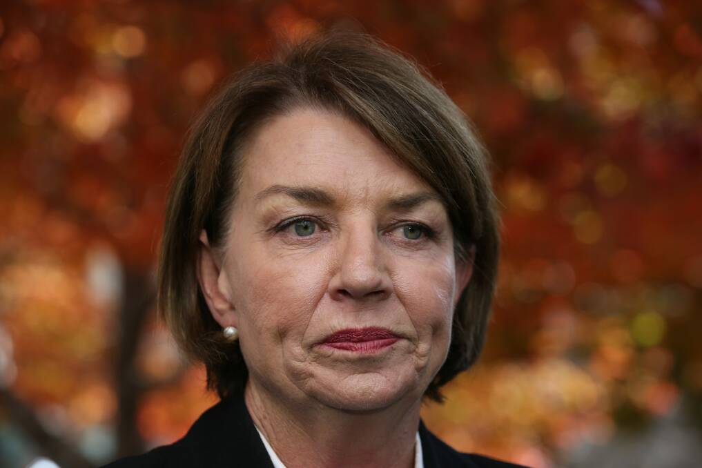 Australian Banking Association CEO Anna Bligh says the government's bank tax has been 'cooked up' and done 'on the run'. Photo: Andrew Meares