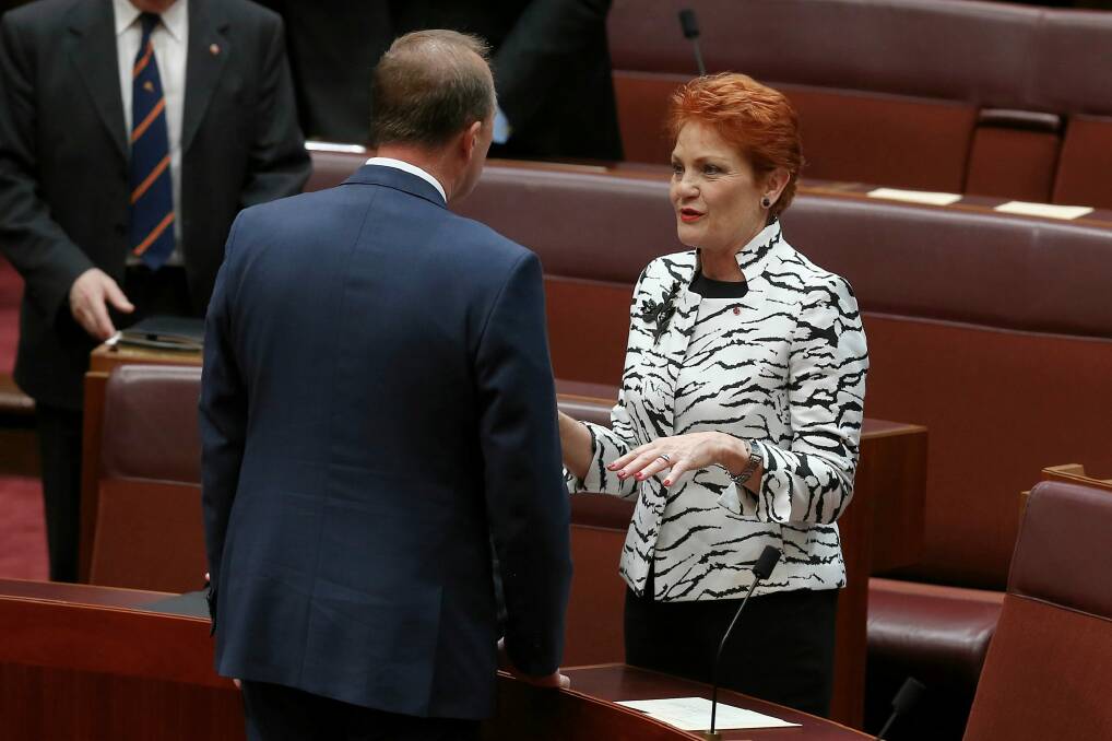 Immigration Minister Peter Dutton and Senator Hanson during the opening of the 45th Parliament. Photo: Alex Ellinghausen