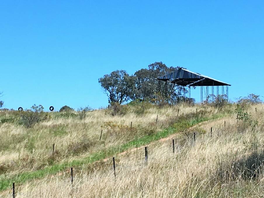 The dilapidated shed on William Howell Drive, Belconnen. Photo: Tim the Yowie Man