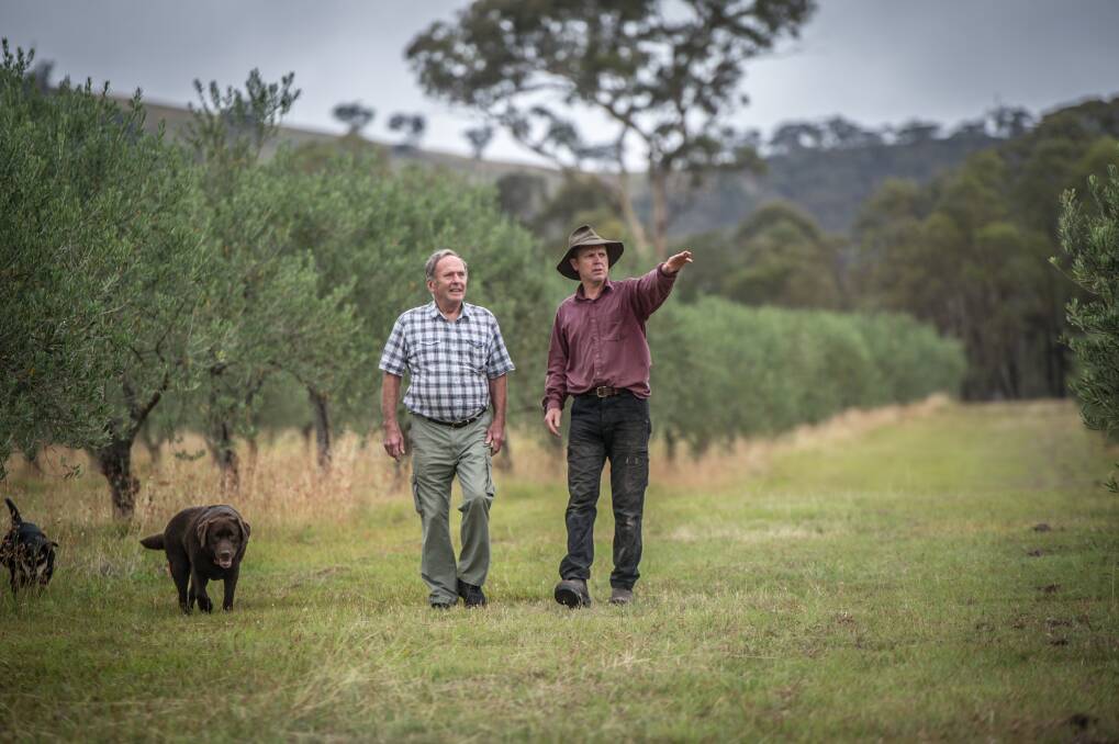 Wallaroo farmers Ross Hampton and Phil Peelgrane say their rural lifestyle is being destroyed by Canberra's building boom. Photo: Karleen Minney.