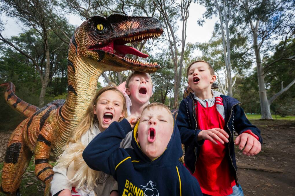 (From Left) Imogen O'Brein 6, Josh Ahern 8, William Ahern 5 and Jude O'Brein 8 showing off thier dinosaur roar. Photo: Dion Georgopoulos Photo: Dion Georgopoulos