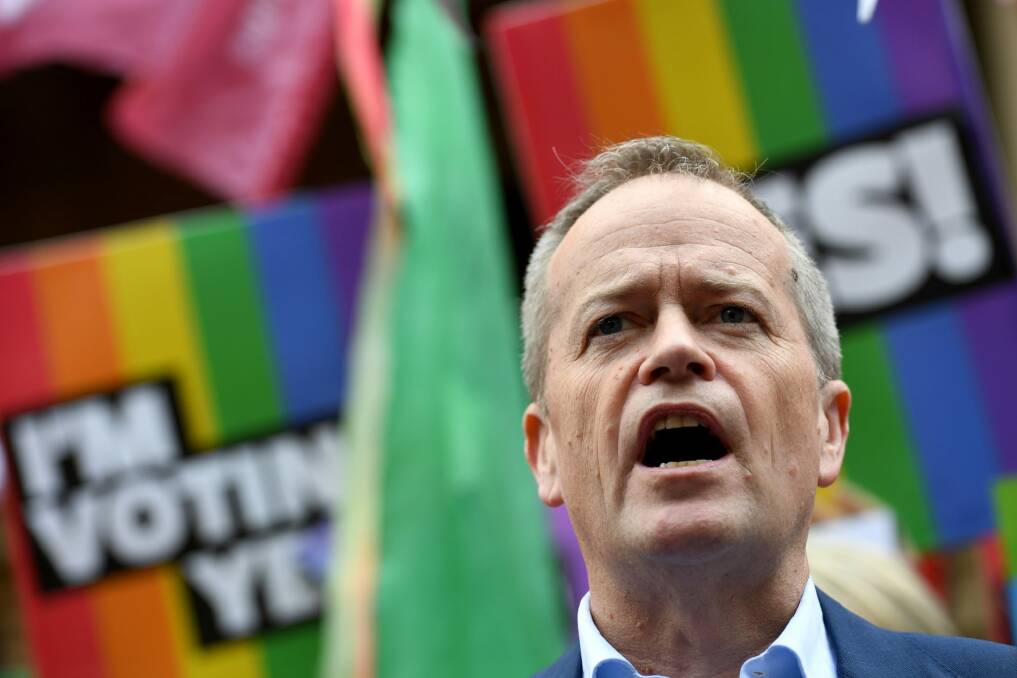 Bill Shorten's Labor Party has been more willing to work directly with community campaigners. Photo: Paul Miller