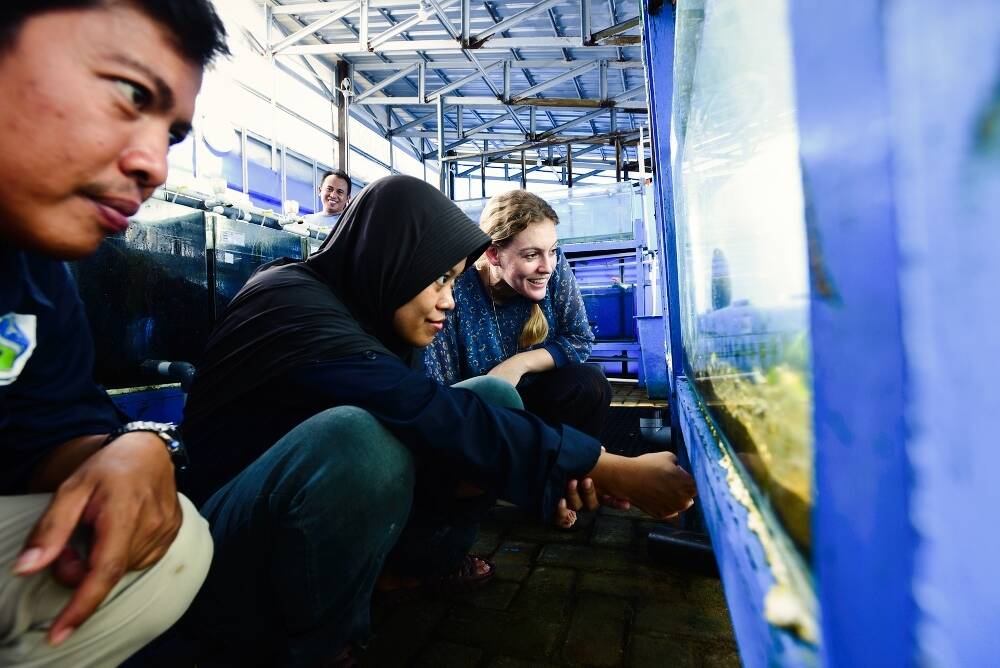Australian volunteer Siobhan Heatwole and colleagues at the Mars Symbioscience Mariculture Facility in Takalar, Sulawesi.  Photo: Darren James
