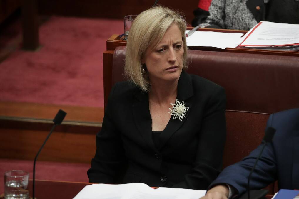 Katy Gallagher says she took reasonable steps to renounce her British citizenship.  Photo: Alex Ellinghausen