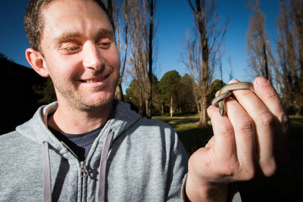 ANU researcher Brett Howland with a striped legless lizard. Photo: Supplied