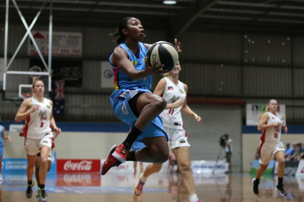 Canberra Capitals player Renee Montgomery was bitten by a white-tip spider on Monday night. Photo: Jeffrey Chan