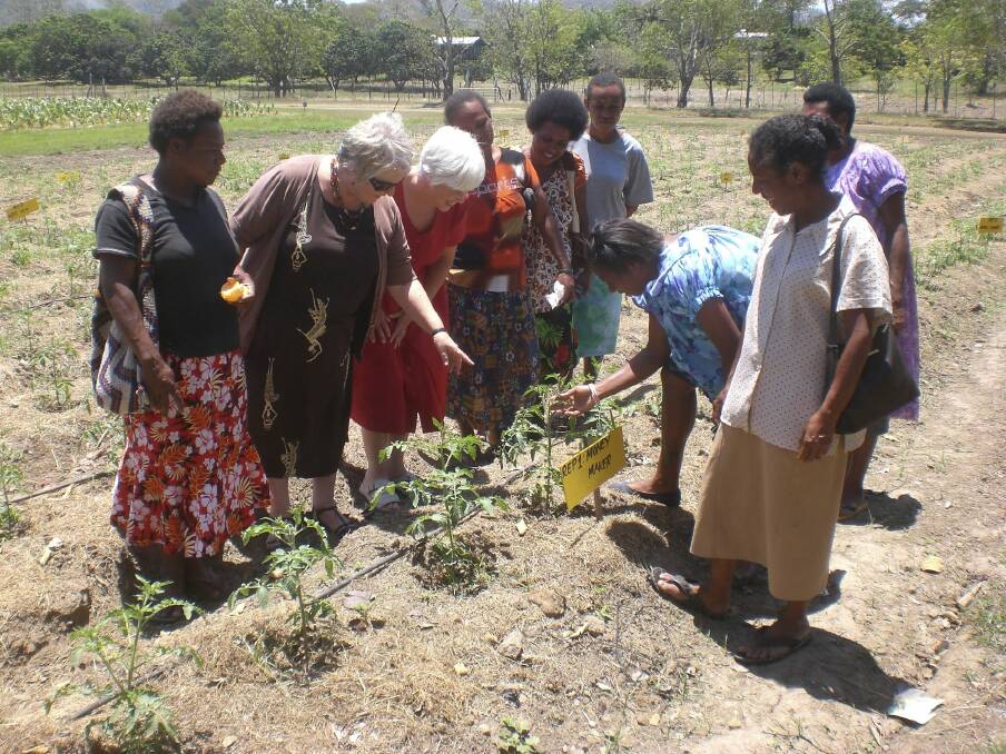 Professor Barbara Pamphilon (third from left) in Papua New Guinea, where she is teaching business and agricultural management skills to women farmers.

 Photo: Supplied