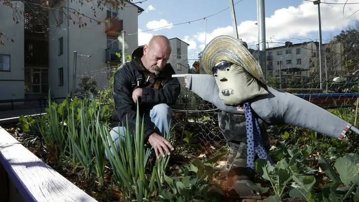 Project manager Mark Ransome from Reclink Australia taking a look at the neighbourhood garden. Photo: Jeffrey Chan