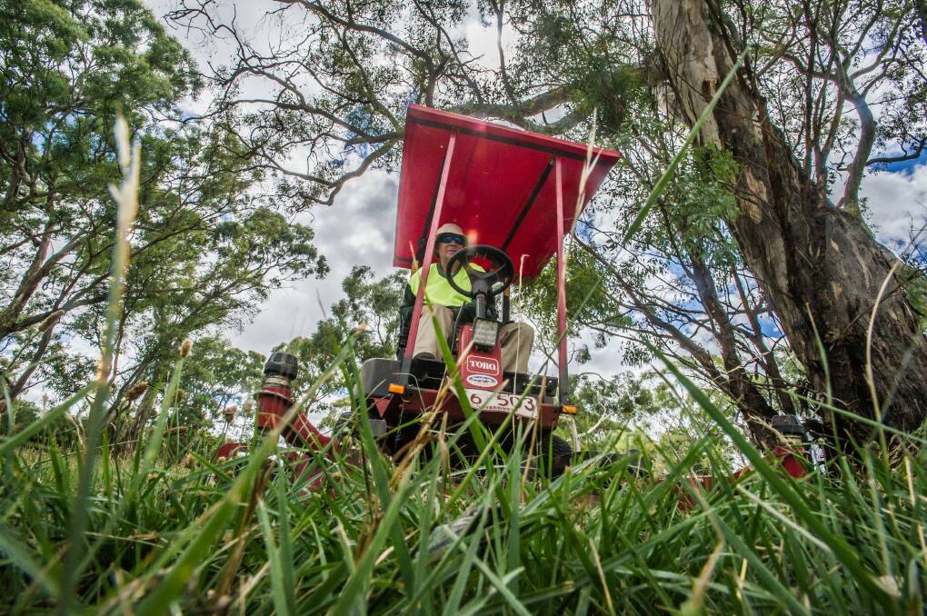 Mower operators work extra hard to cut long grass over the summer months in Canberra. Photo: Karleen Minney