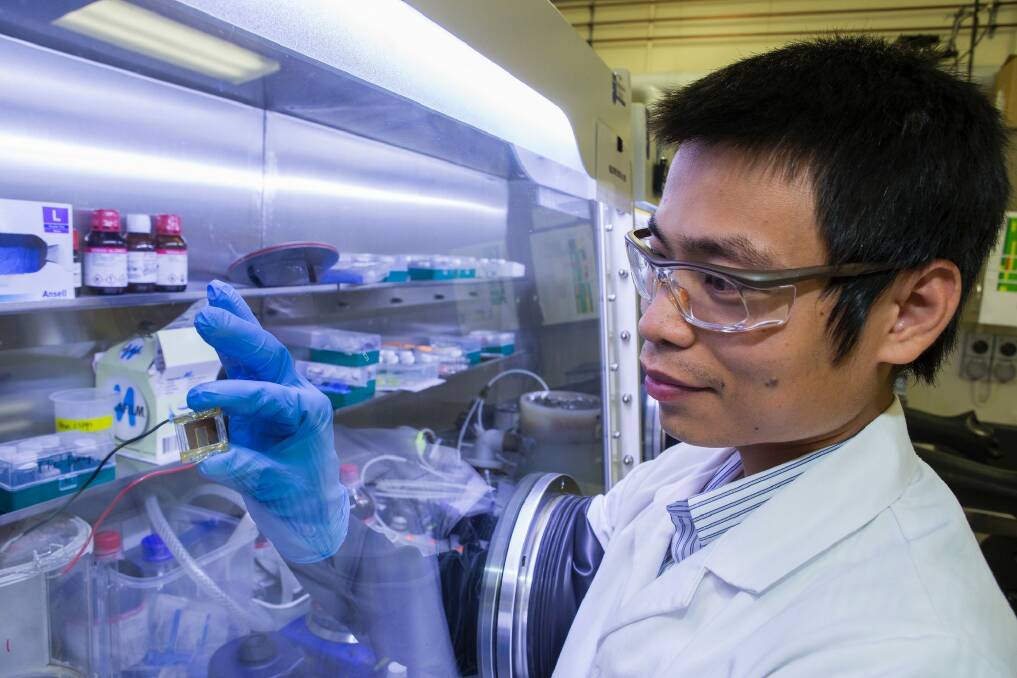 PhD student The Duong with the Perovskite cell. Photo: Stuart Hay Australian National University