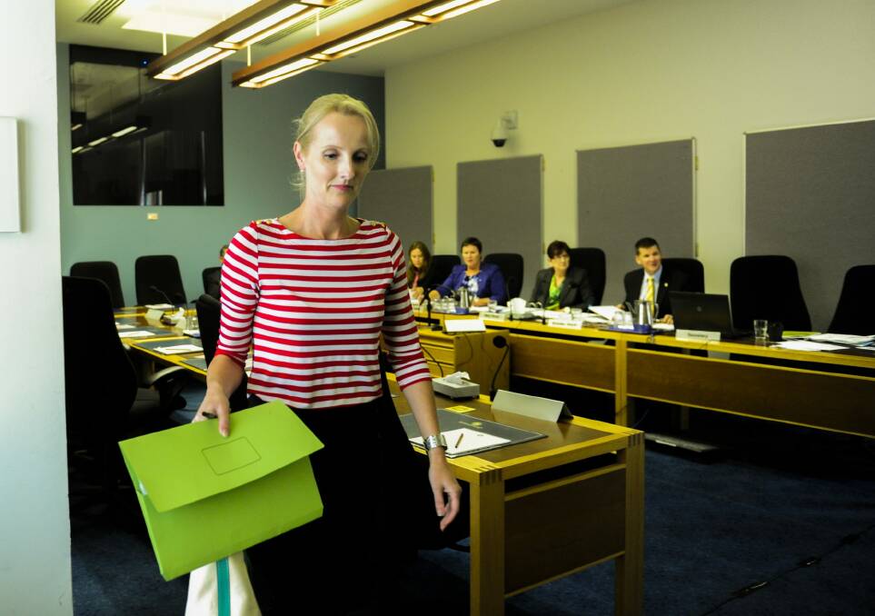 Megan Challenger, above, after giving her submission to the Assembly inquiry on Monday. Photo:  Melissa Adams 