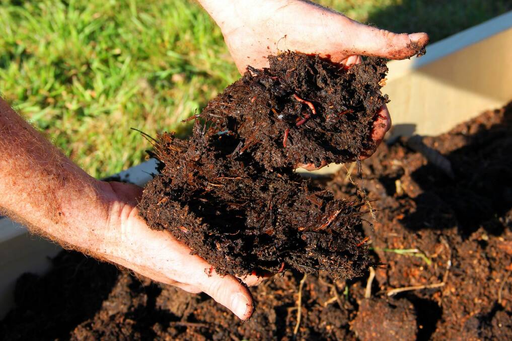 You can improve your soil by composting vegetable food waste, autumn leaves and grass clippings, and adding manure. Photo: Supplied