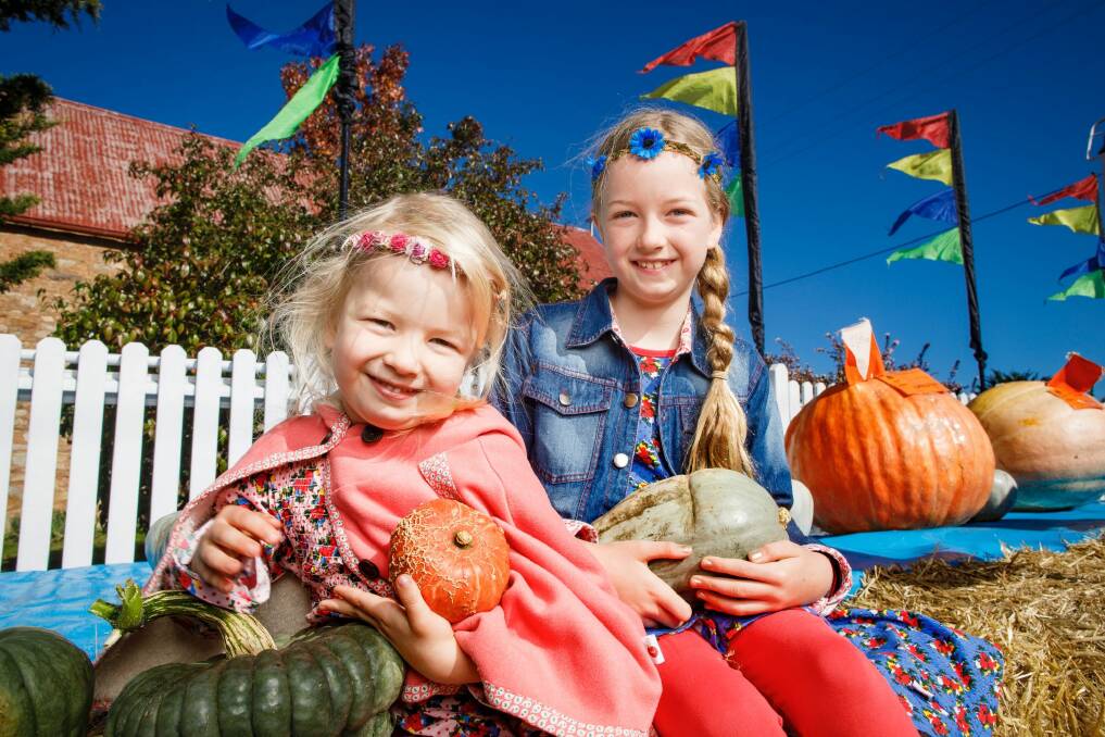 Sisters Molly, 4, and Ava Stone-Purtell, 8, at the Collector Pumpkin Festival. Photo: Sitthixay Ditthavong