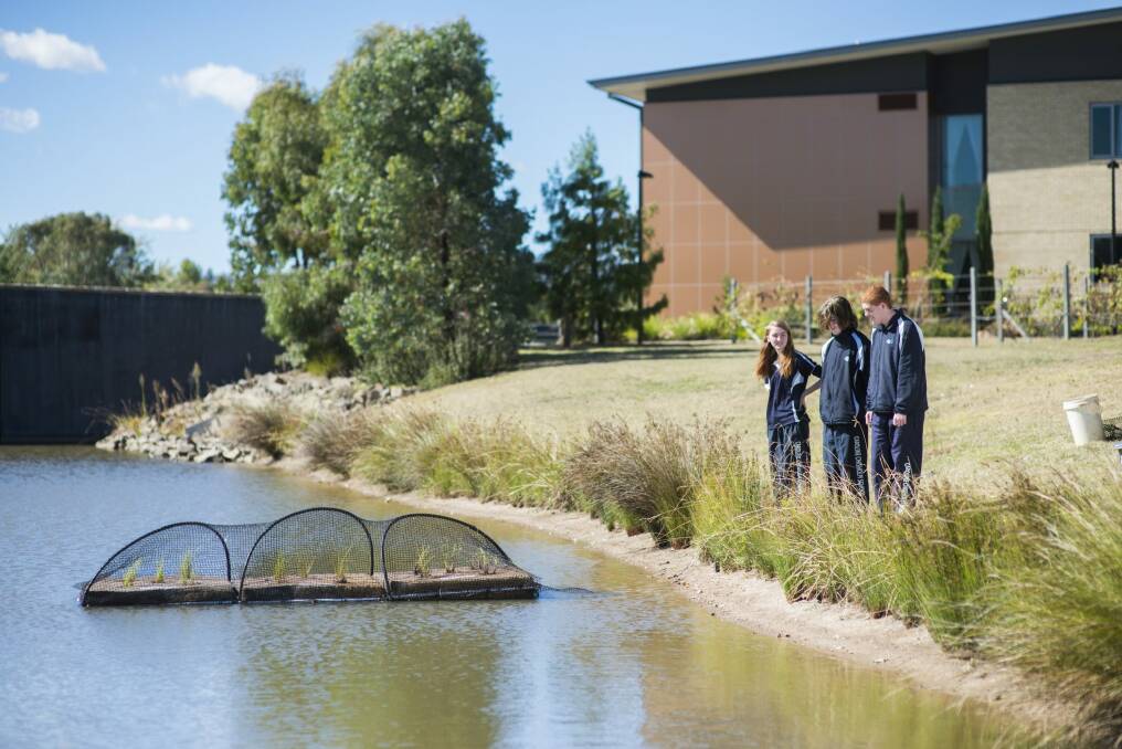Potential fix: Caroline Chisholm High School students Josephine Gulian, Brodie Regester-Young and Matthew Torrens look at the new floating wetland at Goodwin Village in Monash. Photo: Rohan Thomson