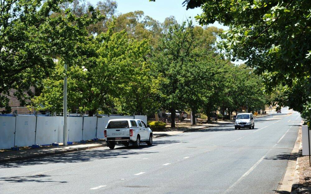 Facing the chop: trees along Constitution Avenue will be removed as part of a redevelopment. Photo: Graham Tidy