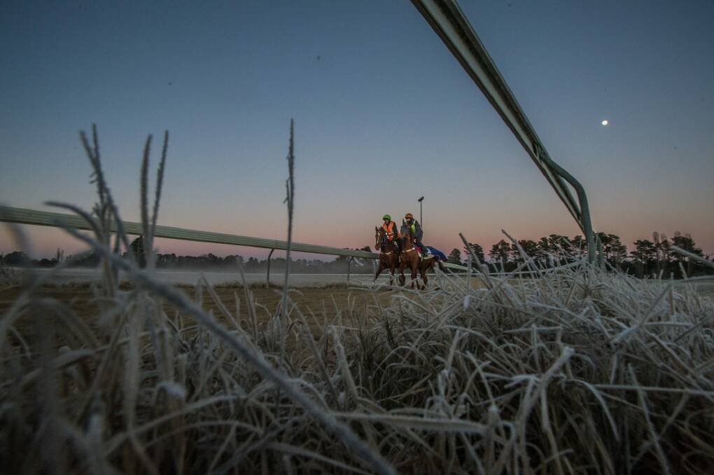 Canberra's Thoroughbred Park race course turned silver with frost in July 2017. Photo: Karleen Minney