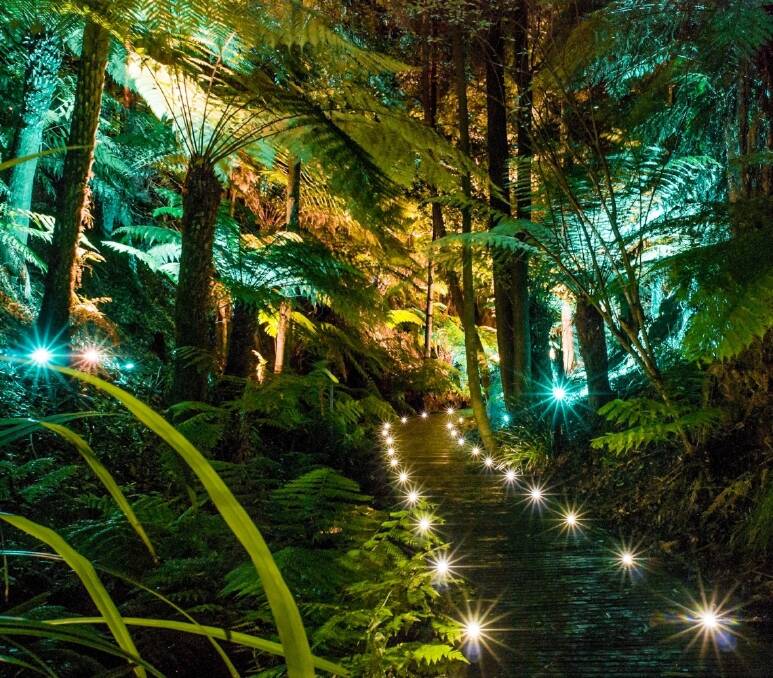 Explore the National Botanic Gardens by night and team it up with a degustation dinner at the AfterDark tours. Photo: Supplied