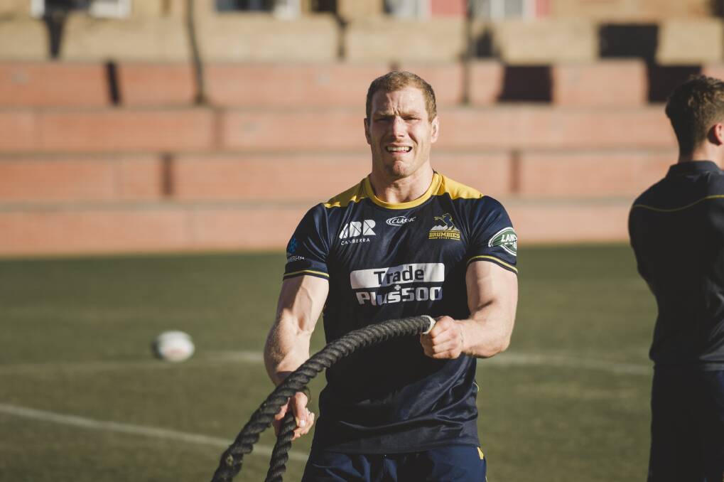 David Pocock is expected to be fit to play in the opening game of the season. Photo: Jamila Toderas