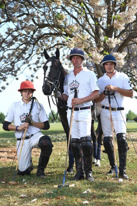 Australian polo team members L-R Lachlan Gilmore, Jack Archibald (captain) and Alec White.  Photo: Nick Moir