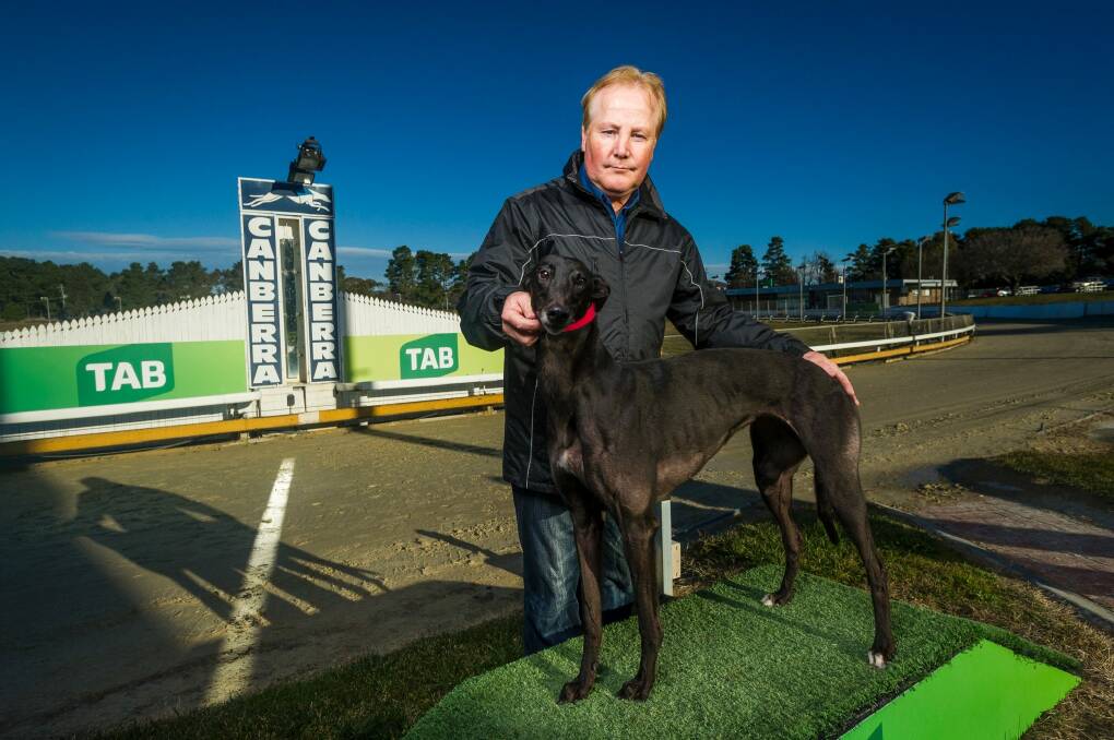 Canberra Greyhound Racing Club chairman Alan Tutt says he feels relieved after John Barilaro welcomed greyhounds back to Queanbeyan.  Photo: Dion Georgopoulos