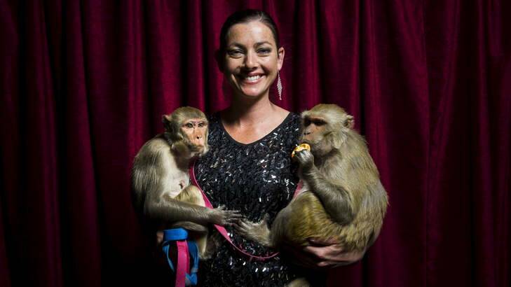 Stardust Circus' Wonona West with Millie and Cleo, two of the monkeys involved in a car accident on Thursday last week. Photo: Rohan Thomson