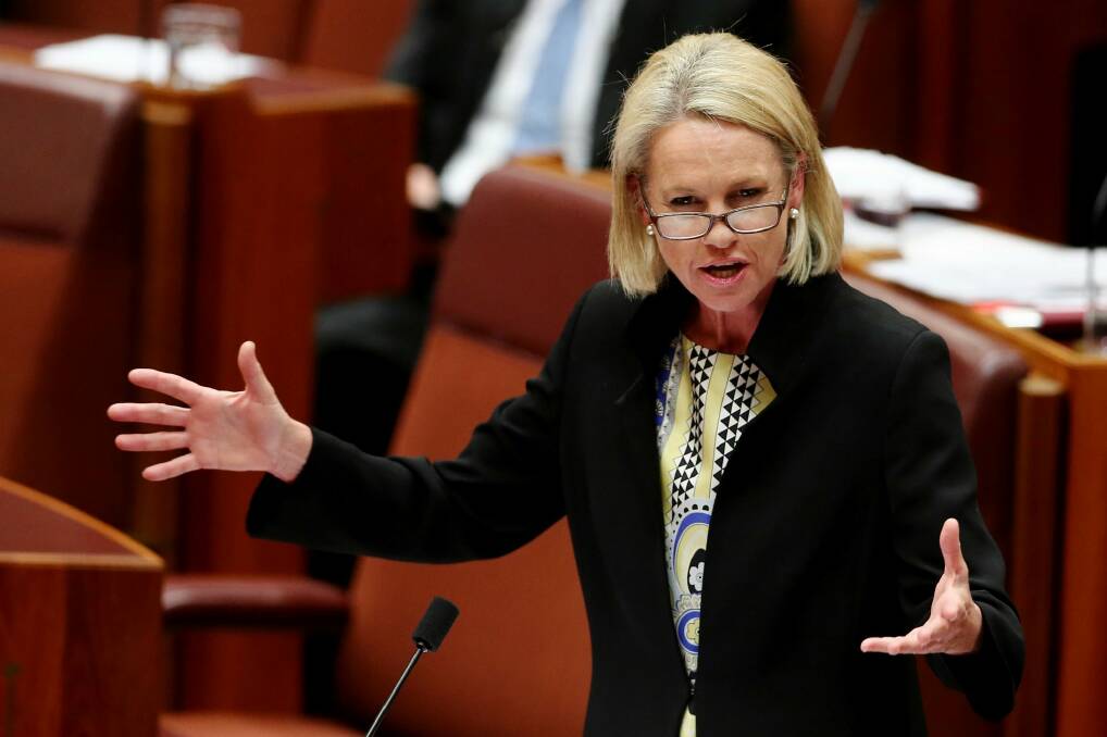 Nationals deputy leader Fiona Nash said that up until the 2013 election, Labor awarded $141 million to its own seats, while handing $30 million to Coalition seats. Photo: Alex Ellinghausen
