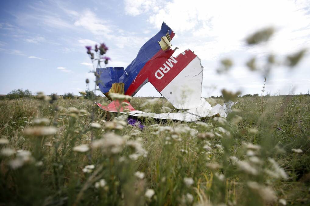 Downed: Part of the wreckage of Malaysia Airlines flight MH17, near the village of Hrabove, Donetsk region. Photo: Reuters