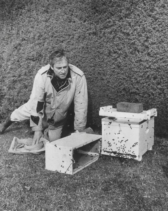 Former MP for Holt William Yates with his beehives at Old Parliament House. 