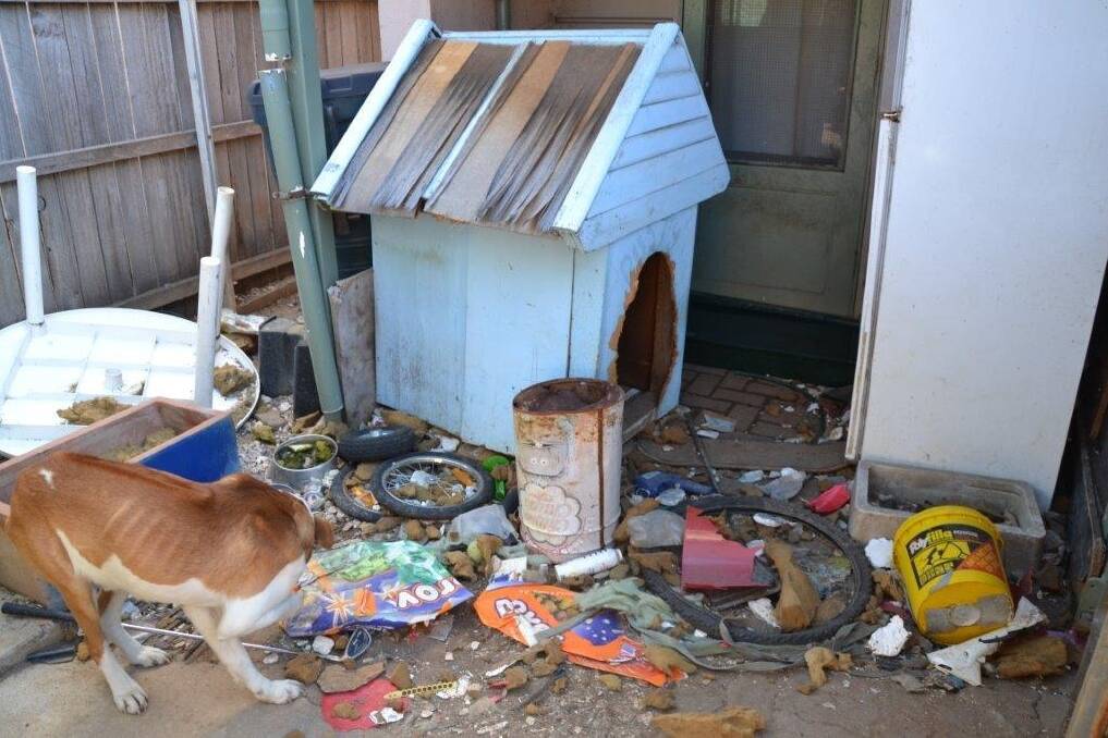 A picture of the conditions the dog was living in at the Belconnen home.   Photo: Supplied