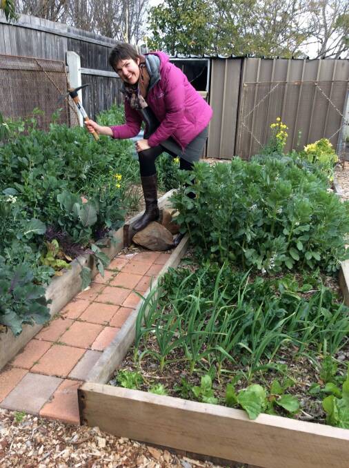 Heather Kerr swinging the mattock in her vegie garden in Hughes. Photo: Susan Parsons