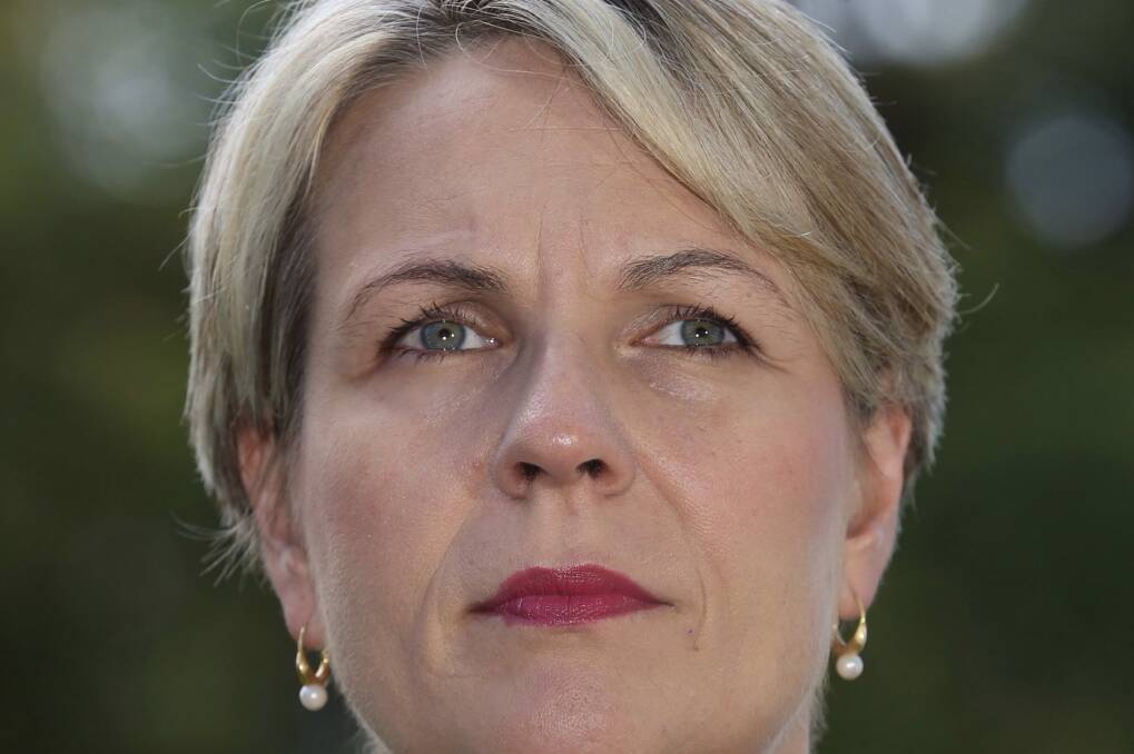 While some MPs, such as Labor's deputy leader Tanya Plibersek, have been vocal in their support for same-sex marriage, other supporters have chosen to keep their views private. Photo: Andrew Meares