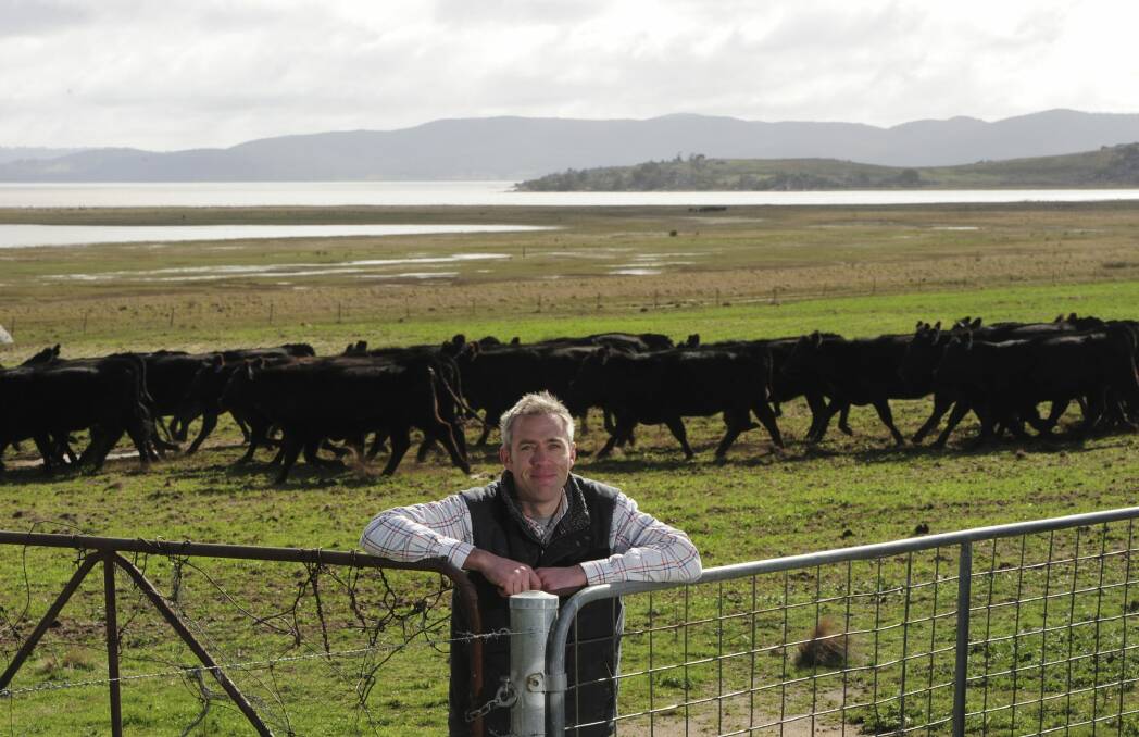 Luke Osborne at his grazing property Ellendon on the shores of Lake George, north of Bungendore, with some of his Angus cattle. Photo: Graham Tidy