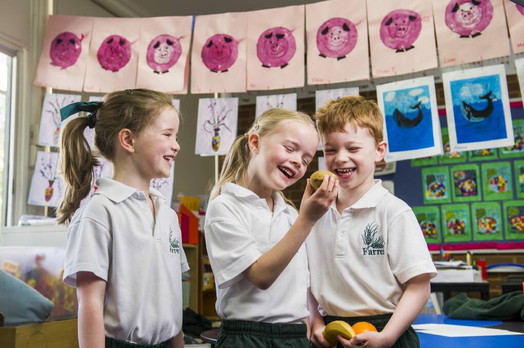 Farrer kindergarten pupils Elsa Connell, Grace Evans  and Oliver Turnbull discuss the merits of a kiwi fruit for lunch.   Photo: Rohan Thomson