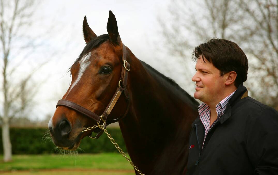 Star stallion: Dundeel, who won six group 1 races before retiring to stud, with Arrowfield Stud manager Paul Messara. Photo: Peter Stoop