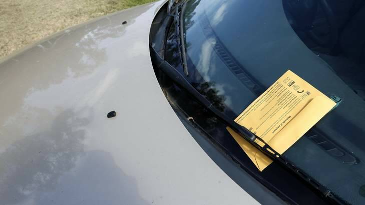 Figures show the Parliamentary Triangle has been a bonanza for parking inspectors. Photo: Jeffrey Chan