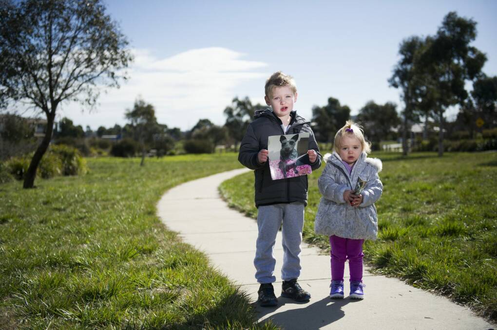 Dylan, 4, and Alexa Gabriel, 2, near their home in Dunlop where they believe someone took their beloved dog Patch. Photo: Rohan Thomson