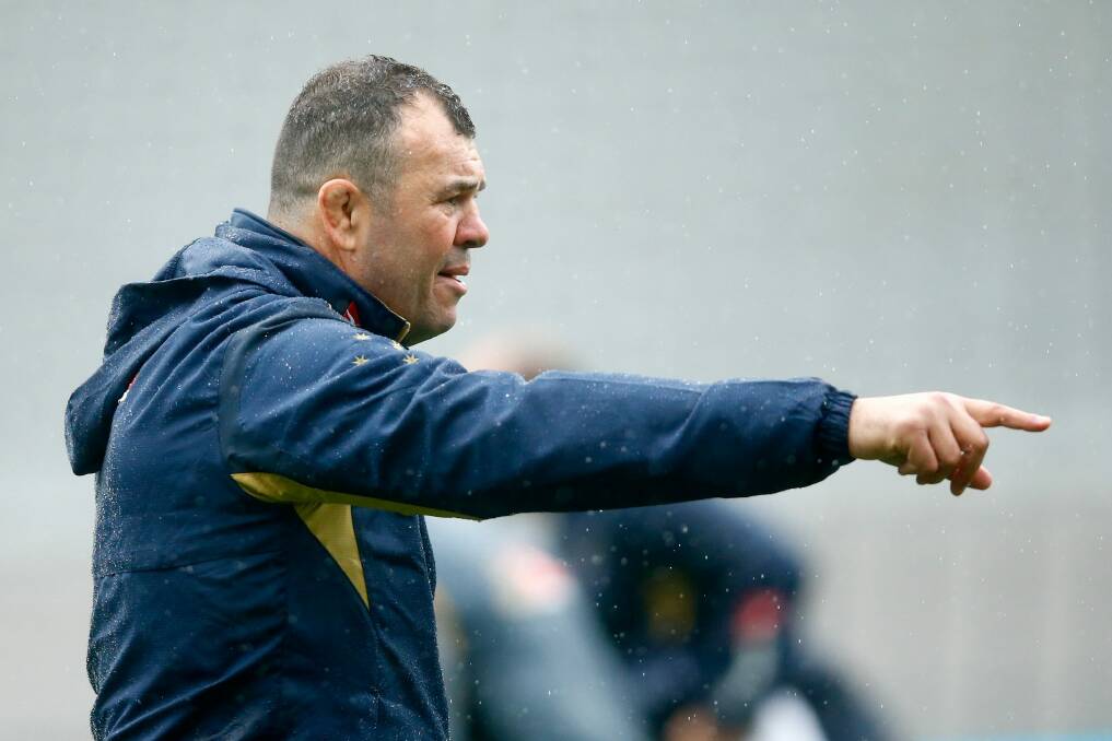 Michael Cheika wants the Wallabies to embrace the increased attention in England. Photo: Phil Walter