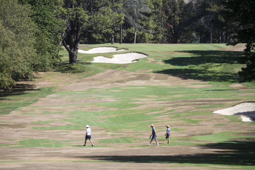 One of the worst hit fairways is not being used for the Canberra Classic. Photo: Dion Georgopoulos