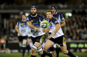 The Brumbies face the Chiefs at GIO Stadium in the first round of finals. Photo: Rohan Thomson