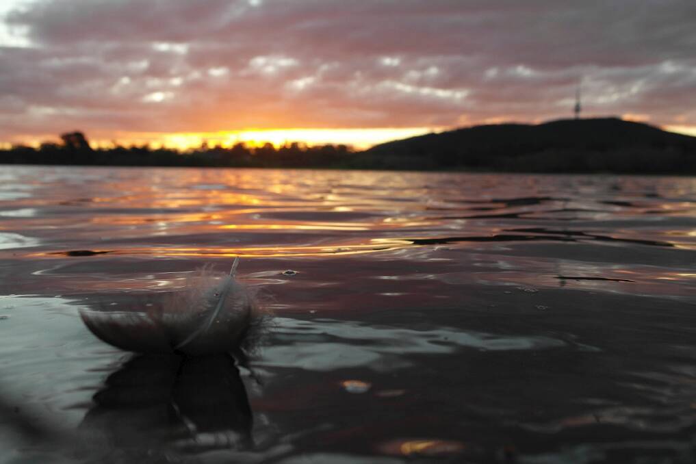 Reflection time: As the sun sets on 2014 let's look back on the year that was for Canberra. Photo: Anna-Marie Bakos