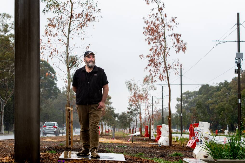 Australian National University forestry expert Dr Cris Brack (pictured) says the avenue landscape style is flawed and many Canberra streets will soon face a dilemma of diversity versus aesthetics. Photo: Elesa Kurtz