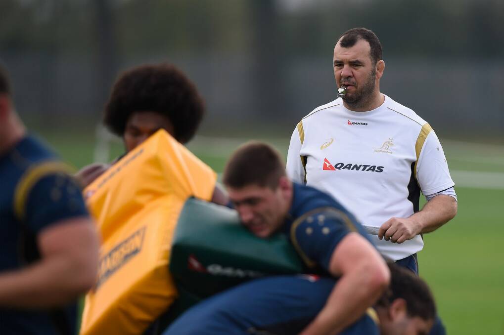 New boss ... Wallaby coach Michael Cheika during a training session in London. Photo: Getty Images