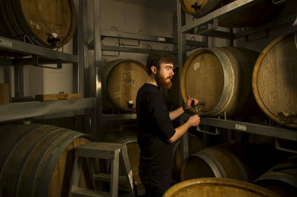 Wig and Pen duty-manager, Finn McGrath in the brew-pub's barrell-aging room, in the basement of Canberra House. The brewery plans to move to Llewellyn Hall. Photo: Rohan Thomson