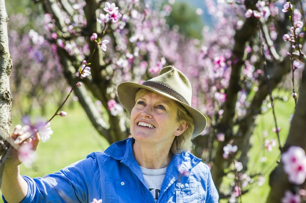 Robyn Clubb in her Orchard, Wisbeys, at Araluen. 