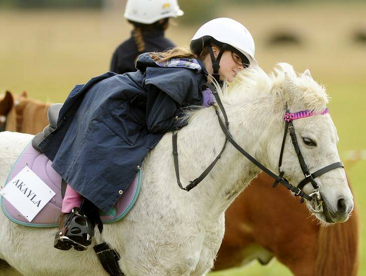 Akayla Sillet, 7, tries to encourage her mount at a Zone 16 Camp at Bungendore Showground. Photo: Stuart Walmsley