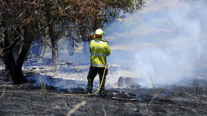 A fire fighters works to mop up the fire off Lady Denman Drive. Photo: Melissa Adams