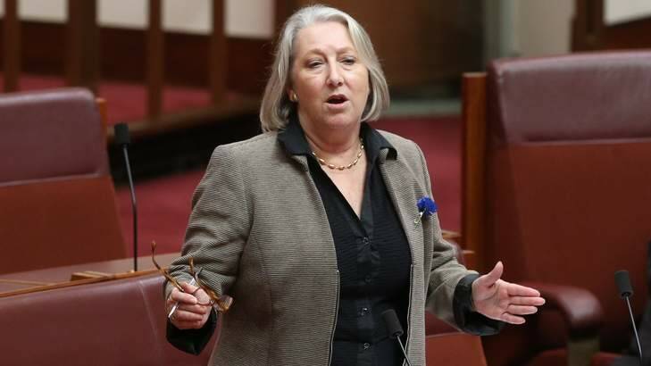 Liberal Senator Sue Boyce addresses the Senate. Photo: Andrew Meares
